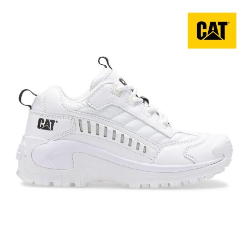 CAT Intruder Kids Sneakers White (AU A-284) Australia